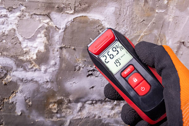 Best Mold Removal Specialists  in New Carlisle, IN